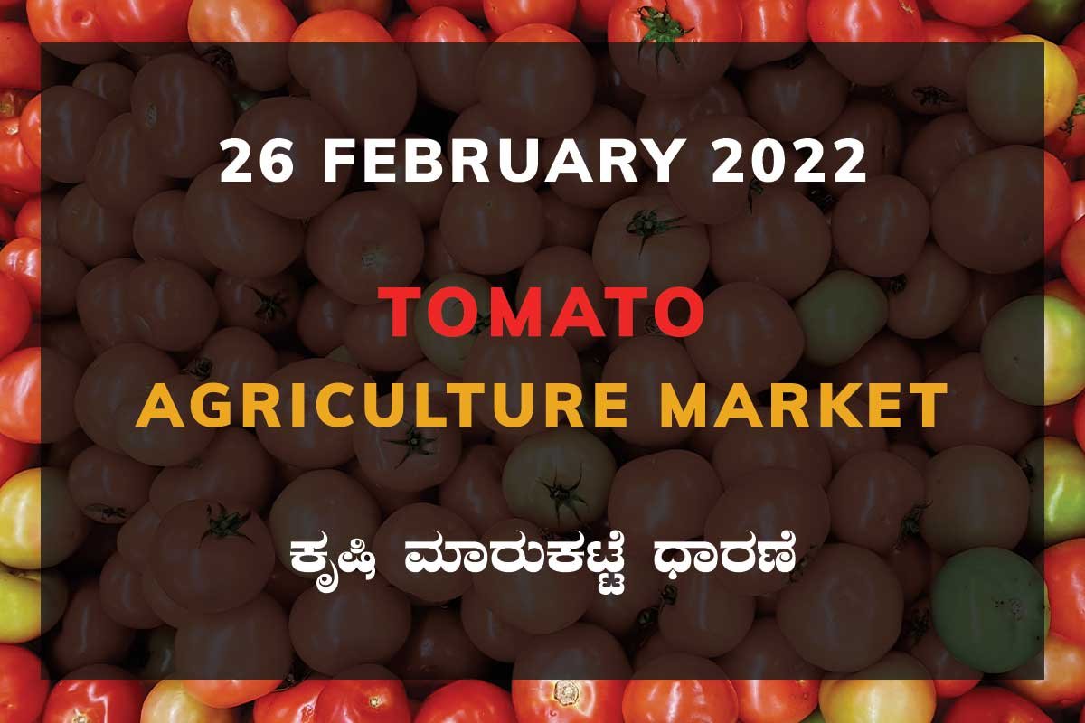 Tomato ಟೊಮ್ಯಾಟೊ ದರ Price: Karnataka Agriculture Market