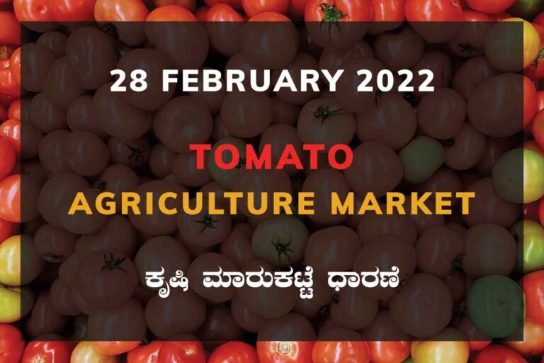 Tomato ಟೊಮ್ಯಾಟೊ ದರ Price: Karnataka Agriculture Market