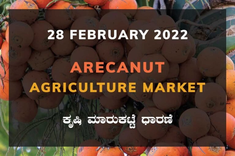 Arecanut ಅಡಿಕೆ ದರ Price: Karnataka Agriculture Market