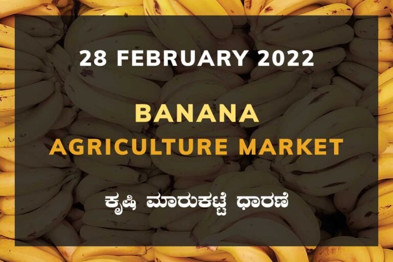 Banana ಬಾಳೆಹಣ್ಣು ದರ Price: Karnataka Agriculture Market
