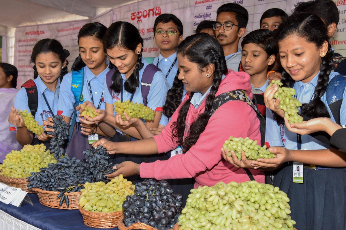 Bangalore Bengaluru Lalbagh Hopcoms Grapes Watermelon Farmers Fair