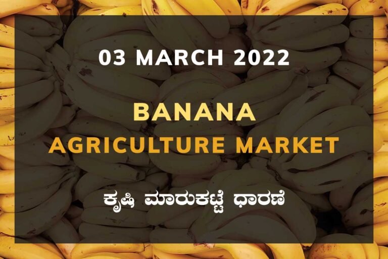 Banana ಬಾಳೆಹಣ್ಣು ದರ Price Karnataka Agriculture Market