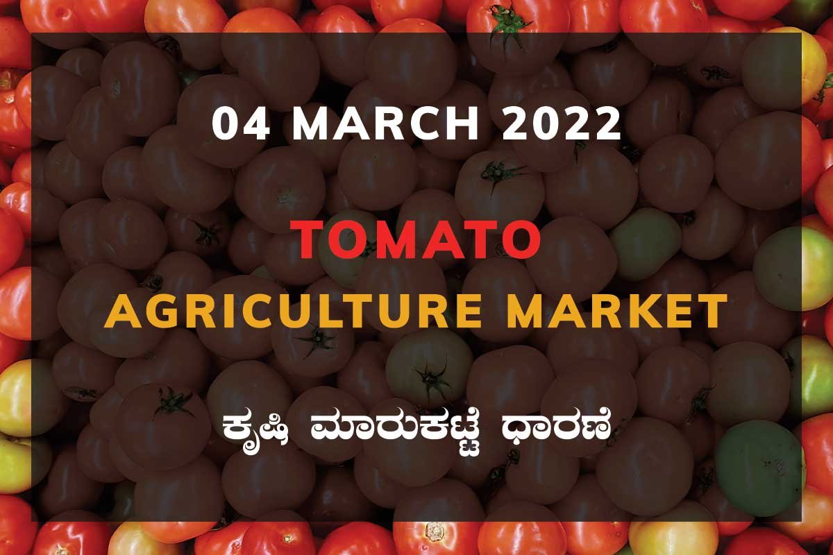 Tomato ಟೊಮ್ಯಾಟೊ ದರ Price: Karnataka Agriculture Market