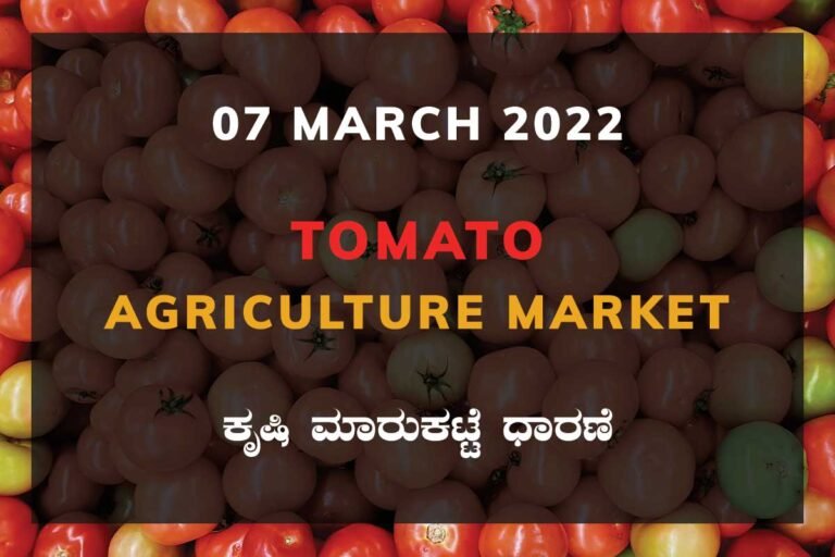 Tomato ಟೊಮ್ಯಾಟೊ ದರ Price Karnataka Agriculture Market