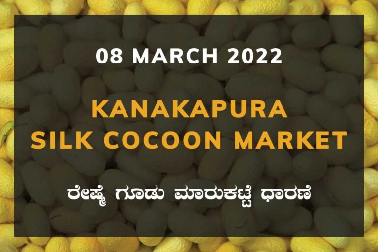 Kanakapura Silk Cocoon Market Price Rate