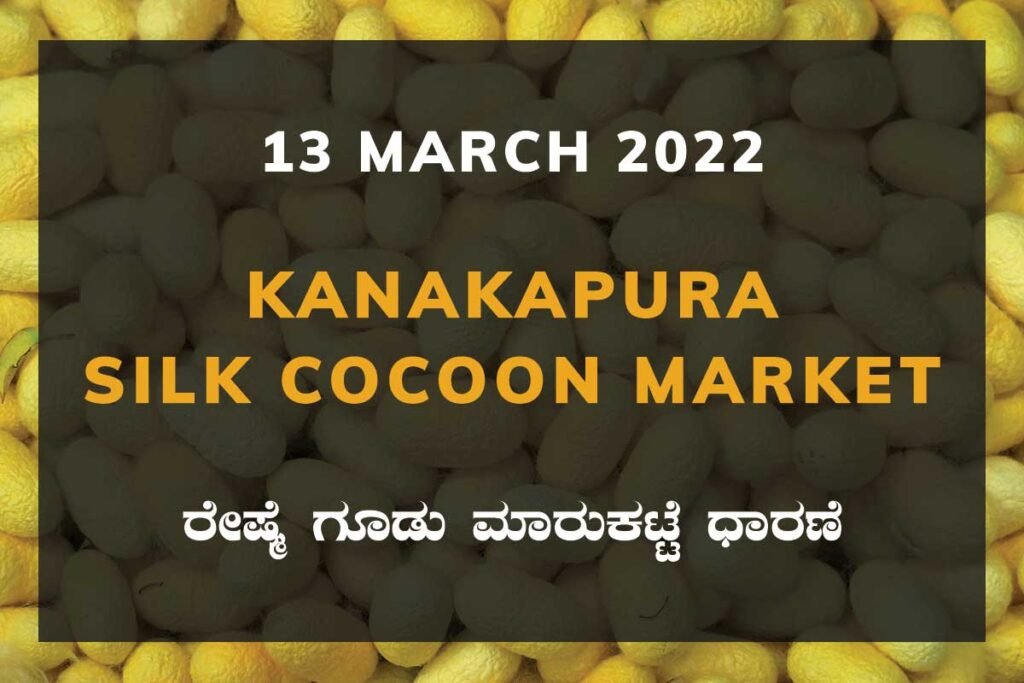 Kanakapura Silk Cocoon Market Price Rate