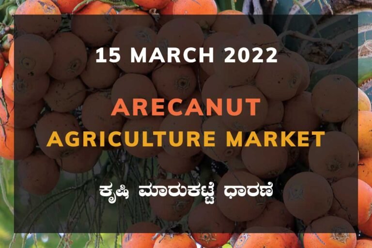 Arecanut ಅಡಿಕೆ ದರ Price Karnataka Agriculture Market