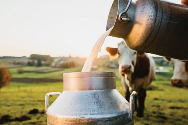 KOCHIMUL KMF Milk Price Hike