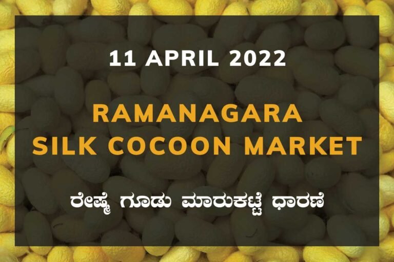 Ramanagara Silk Cocoon Market