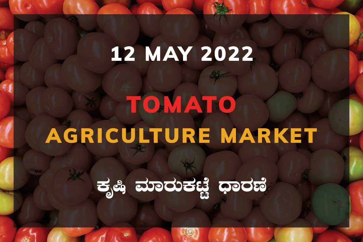 Tomato ಟೊಮ್ಯಾಟೊ ದರ Price Karnataka Agriculture Market
