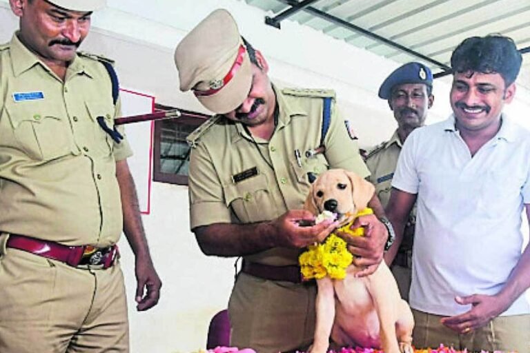 Mangalore Police Dog Squad Charlie