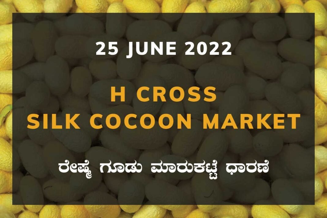 H Cross Silk Cocoon Market ಎಚ್ ಕ್ರಾಸ್ ರೇಷ್ಮೆ ಗೂಡು ಮಾರುಕಟ್ಟೆ ಧಾರಣೆ