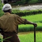 Karnataka 33 Lakh Farmers Loan
