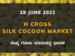 H Cross Silk Cocoon Market ಎಚ್ ಕ್ರಾಸ್ ರೇಷ್ಮೆ ಗೂಡು ಮಾರುಕಟ್ಟೆ ಧಾರಣೆ