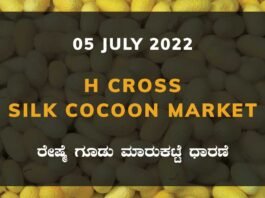 H Cross Silk Cocoon Market ಎಚ್ ಕ್ರಾಸ್ ರೇಷ್ಮೆ ಗೂಡು ಮಾರುಕಟ್ಟೆ ಧಾರಣೆ