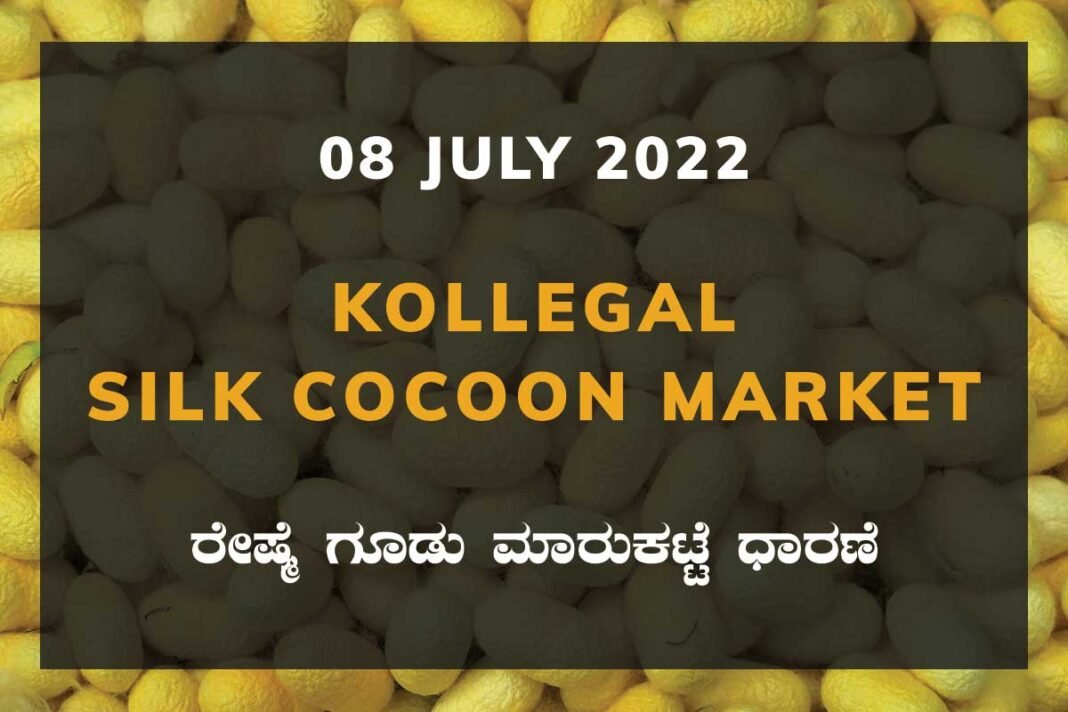 Kollegal Silk Cocoon Market