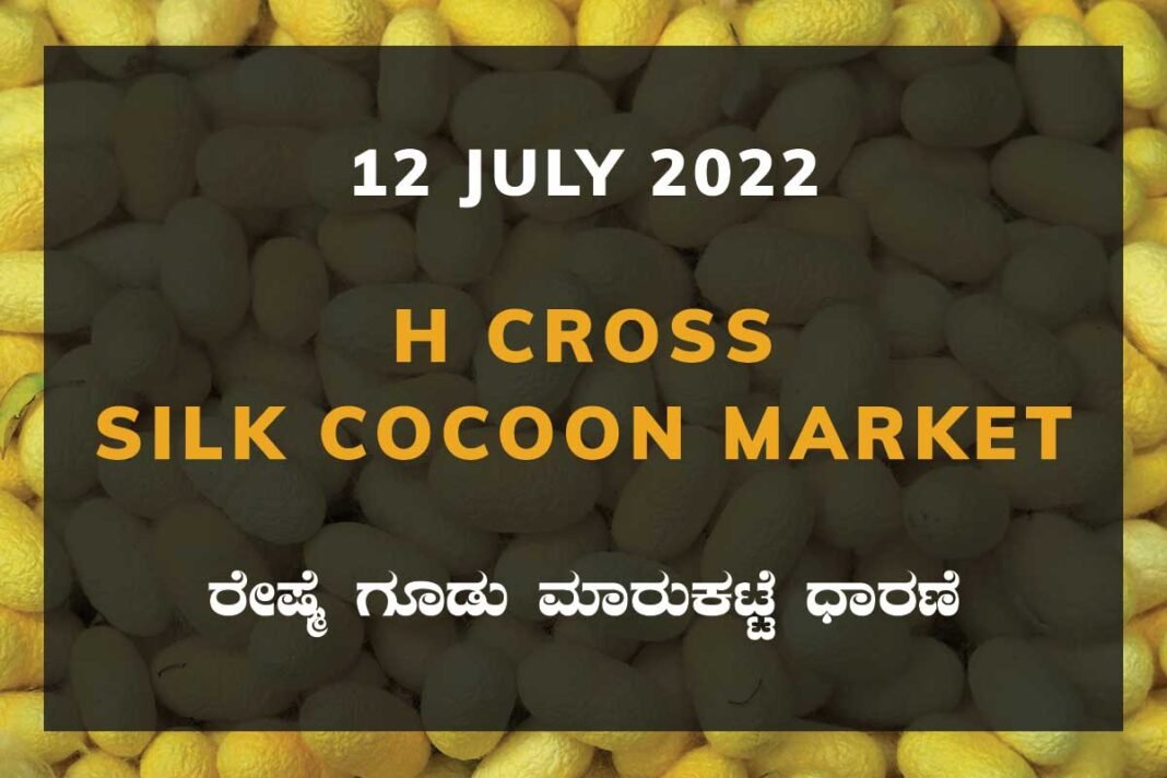 H Cross Silk Cocoon Market ಎಚ್ ಕ್ರಾಸ್ ರೇಷ್ಮೆ ಗೂಡು ಮಾರುಕಟ್ಟೆ ಧಾರಣೆ