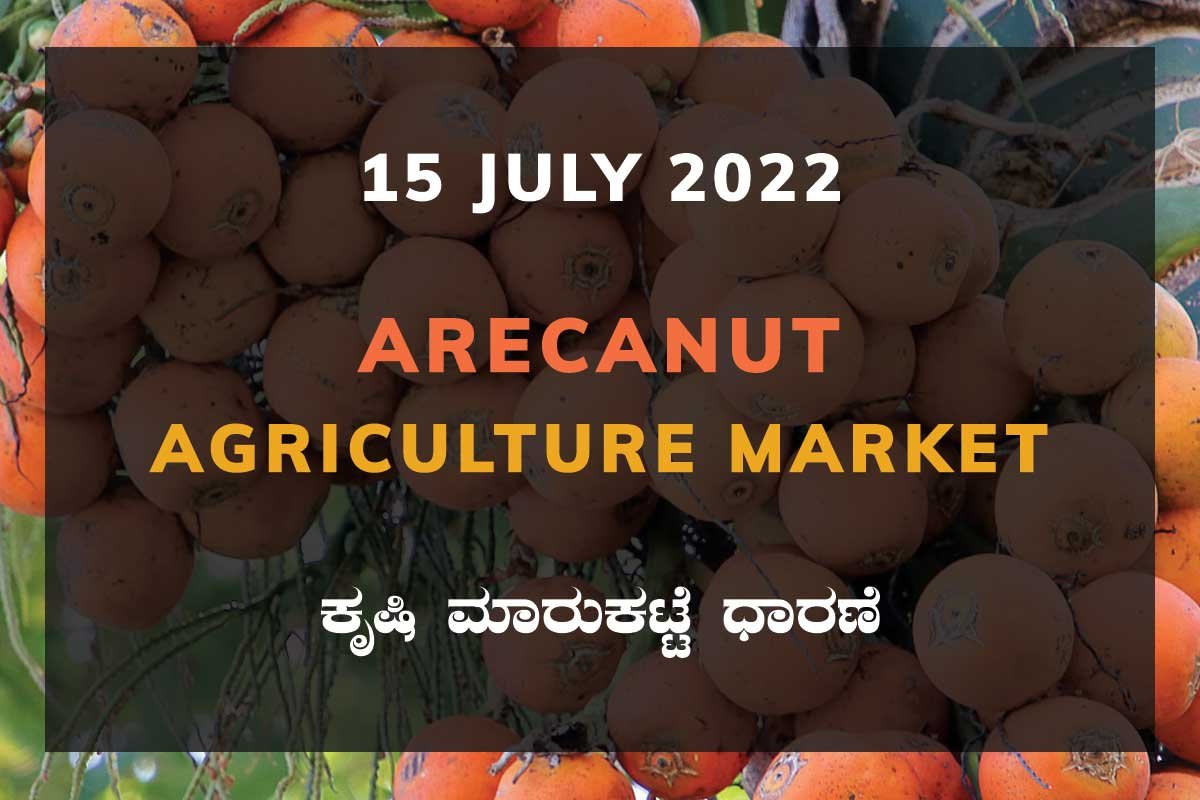 Arecanut ಅಡಿಕೆ ದರ Price Karnataka Agriculture Market