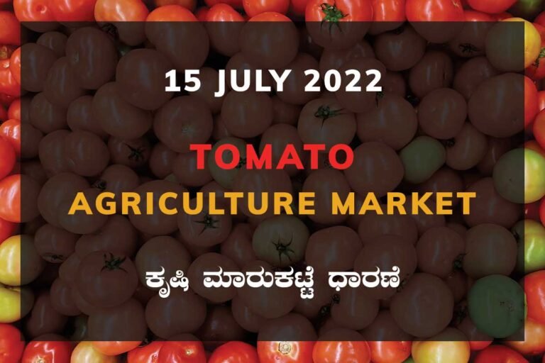 Tomato ಟೊಮ್ಯಾಟೊ ದರ Price Karnataka Agriculture Market