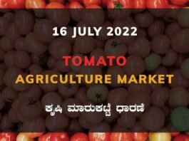 Tomato ಟೊಮ್ಯಾಟೊ ದರ Price Karnataka Agriculture Market