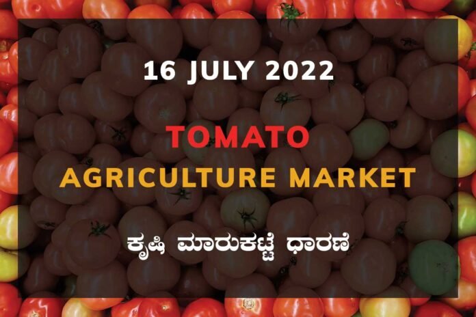 16JuKa03a Tomato ಟೊಮ್ಯಾಟೊ ದರ Price Karnataka Agriculture Market