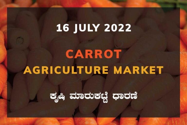 Carrot ಕ್ಯಾರಟ್ ದರ Price Karnataka Agriculture Market
