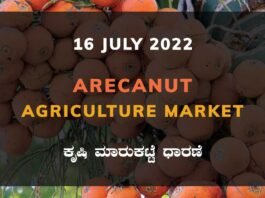 Arecanut ಅಡಿಕೆ ದರ Price Karnataka Agriculture Market