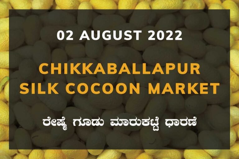 Chikkaballapur Silk Cocoon Market ಚಿಕ್ಕಬಳ್ಳಾಪುರ ರೇಷ್ಮೆ ಗೂಡು ಮಾರುಕಟ್ಟೆ ಧಾರಣೆ