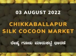 Chikkaballapur Silk Cocoon Market ಚಿಕ್ಕಬಳ್ಳಾಪುರ ರೇಷ್ಮೆ ಗೂಡು ಮಾರುಕಟ್ಟೆ ಧಾರಣೆ
