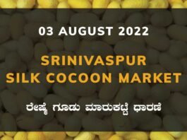Srinivaspur Silk Cocoon Market ಶ್ರೀನಿವಾಸಪುರ ರೇಷ್ಮೆ ಗೂಡು ಮಾರುಕಟ್ಟೆ ಧಾರಣೆ