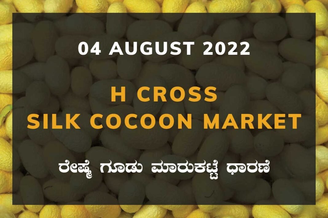 H Cross Silk Cocoon Market ಎಚ್ ಕ್ರಾಸ್ ರೇಷ್ಮೆ ಗೂಡು ಮಾರುಕಟ್ಟೆ ಧಾರಣೆ