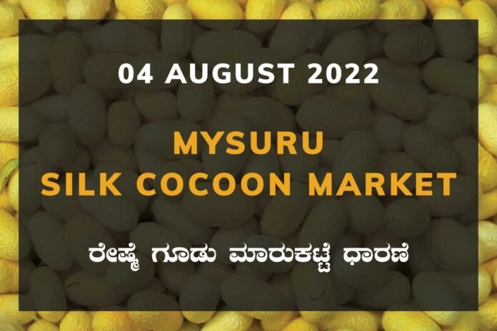 Mysuru Government Silk Cocoon Market Daily Rate Report ಮೈಸೂರು ರೇಷ್ಮೆ ಗೂಡು ಮಾರುಕಟ್ಟೆ ಧಾರಣೆ