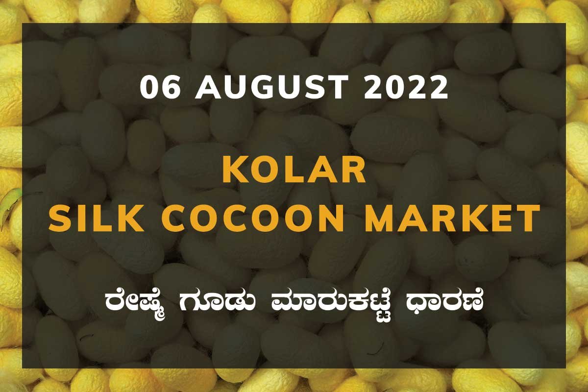 Kolar Silk Cocoon Market Price Rate ಕೋಲಾರ ರೇಷ್ಮೆ ಗೂಡು ಮಾರುಕಟ್ಟೆ ಧಾರಣೆ