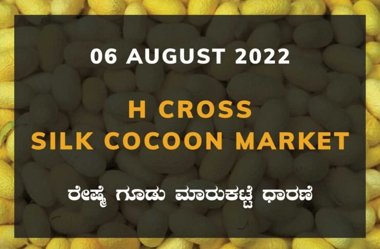 H Cross Silk Cocoon Market ಎಚ್ ಕ್ರಾಸ್ ರೇಷ್ಮೆ ಗೂಡು ಮಾರುಕಟ್ಟೆ ಧಾರಣೆ