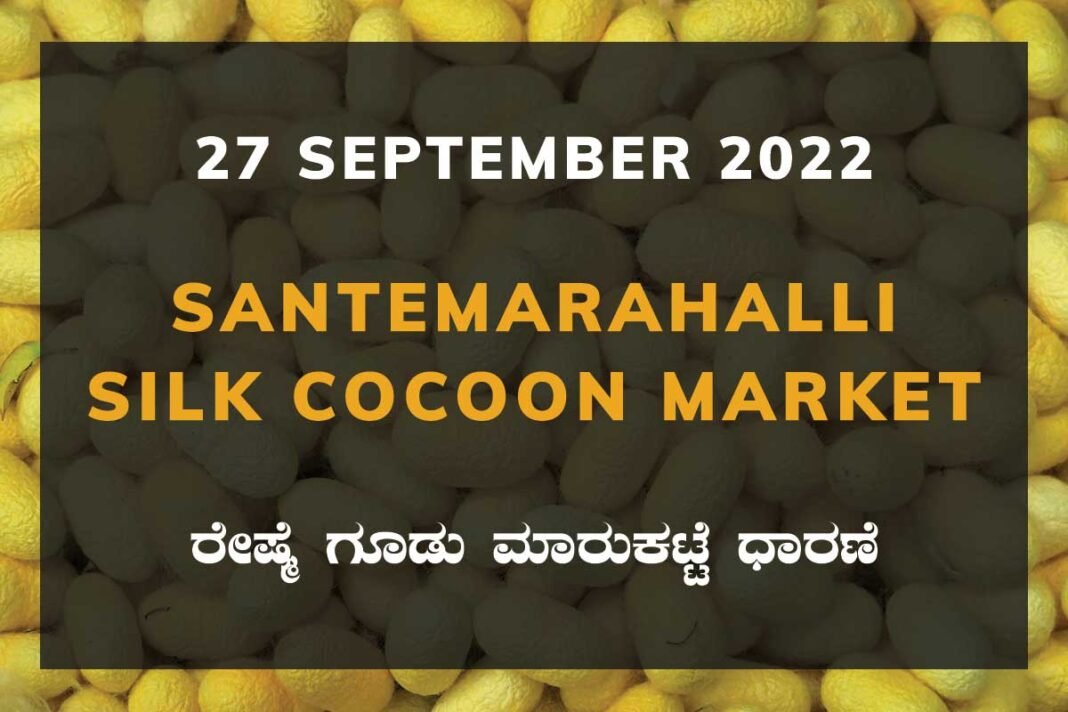 Silk Santemarahalli Cocoon Market
