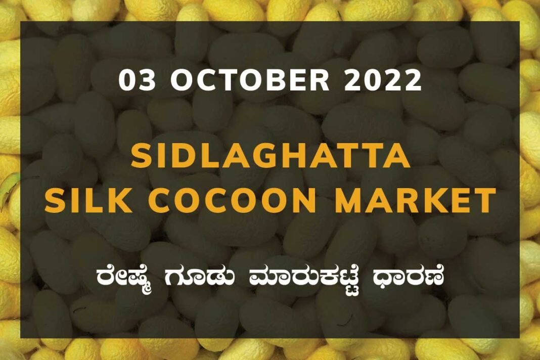 Sidlaghatta Silk Cocoon Market Price Rate ಶಿಡ್ಲಘಟ್ಟ ರೇಷ್ಮೆ ಗೂಡು ಮಾರುಕಟ್ಟೆ ಧಾರಣೆ