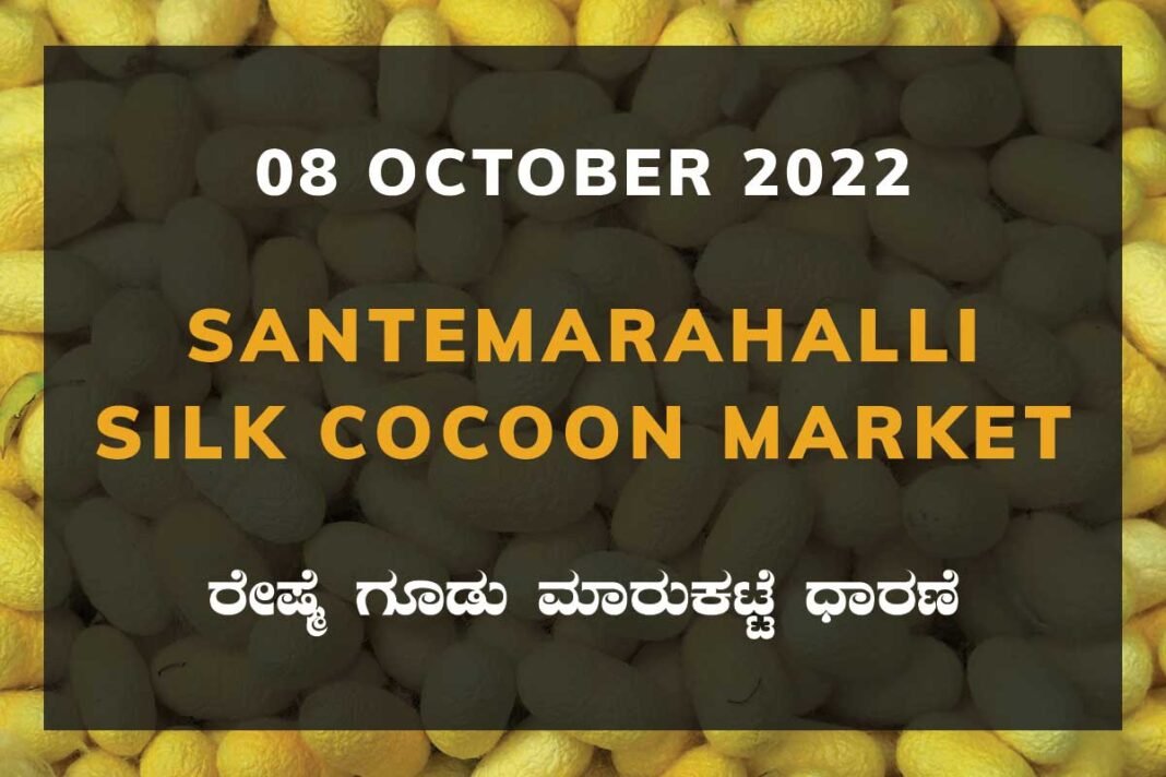 Silk Santemarahalli Cocoon Market