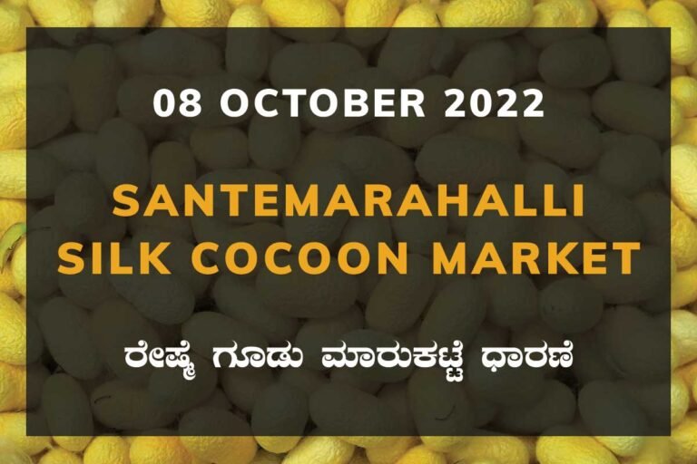 Silk Santemarahalli Cocoon Market