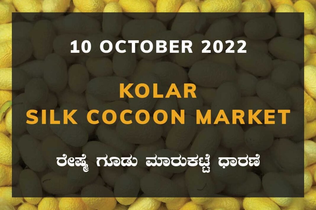 Kolar Silk Cocoon Market Price Rate ಕೋಲಾರ ರೇಷ್ಮೆ ಗೂಡು ಮಾರುಕಟ್ಟೆ ಧಾರಣೆ