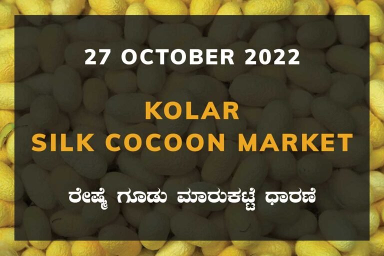 Kolar Silk Cocoon Market Price Rate ಕೋಲಾರ ರೇಷ್ಮೆ ಗೂಡು ಮಾರುಕಟ್ಟೆ ಧಾರಣೆ