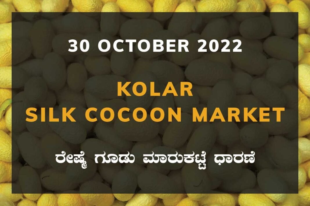 Kolar Silk Cocoon Market Price Rate ಕೋಲಾರ ರೇಷ್ಮೆ ಗೂಡು ಮಾರುಕಟ್ಟೆ ಧಾರಣೆ