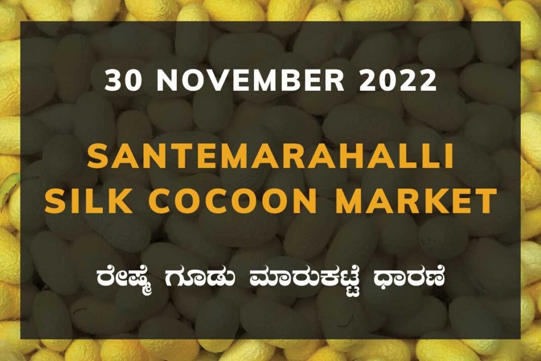 Silk Santemarahalli Government Cocoon Market