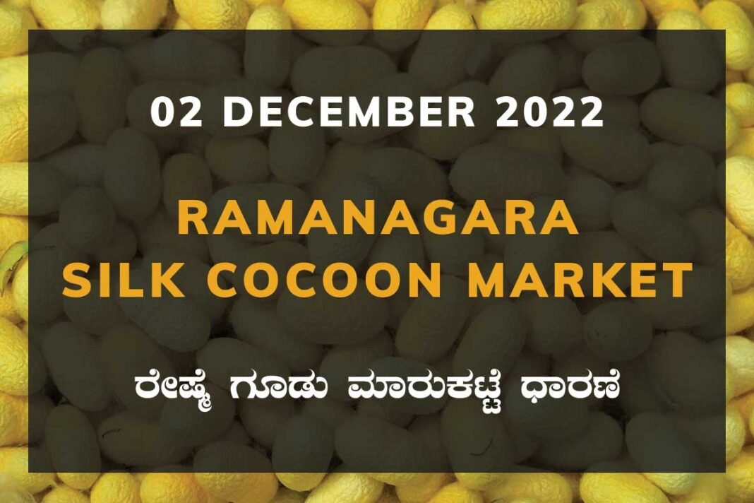 Ramanagara Silk Cocoon Market ರಾಮನಗರ ರೇಷ್ಮೆ ಗೂಡು ಮಾರುಕಟ್ಟೆ ಧಾರಣೆ
