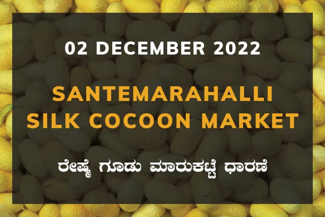 Silk Santemarahalli Government Cocoon Market