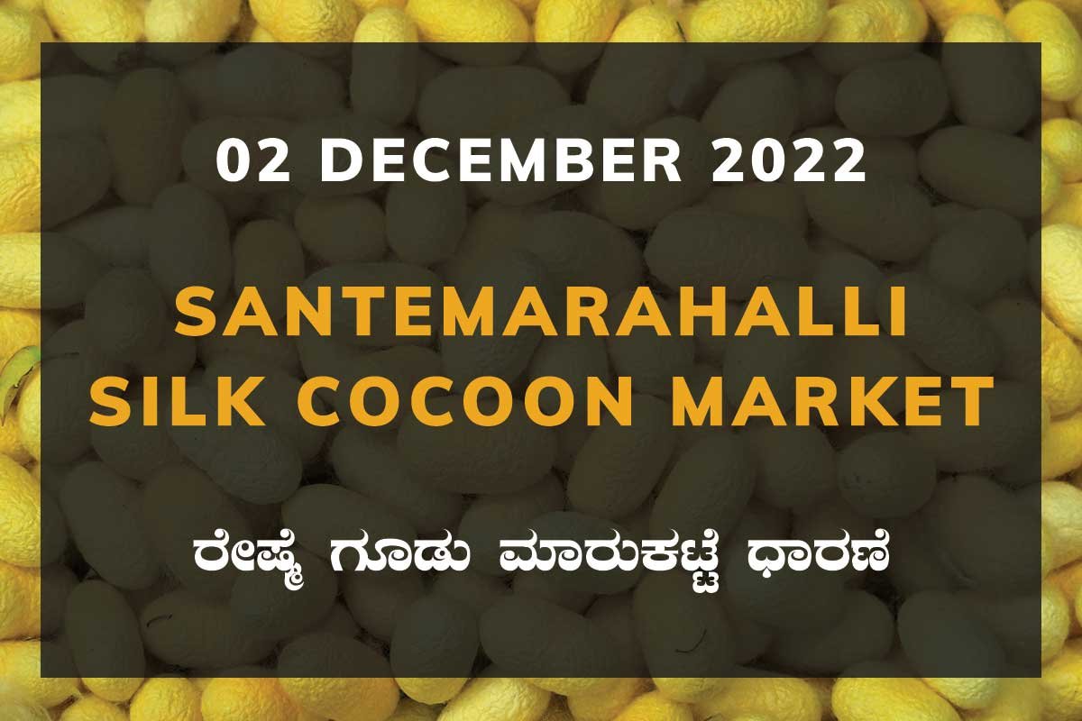 Silk Santemarahalli Government Cocoon Market