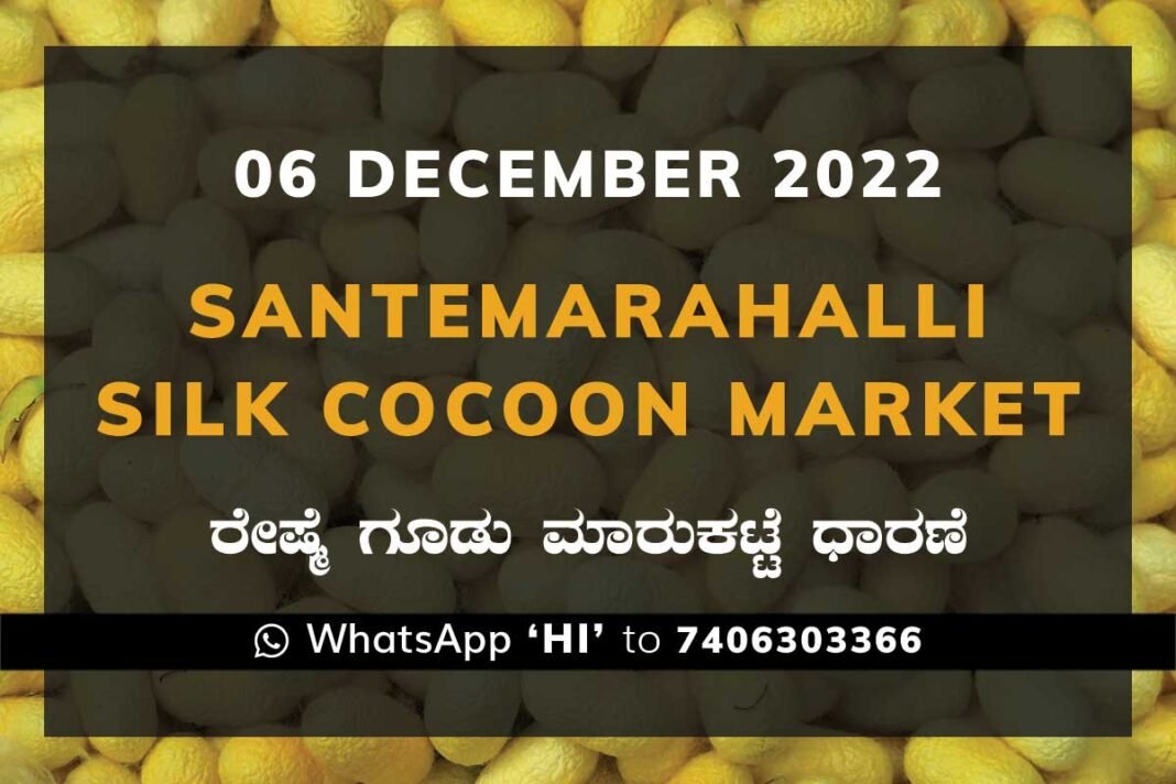 Silk Santemarahalli Government Cocoon Market