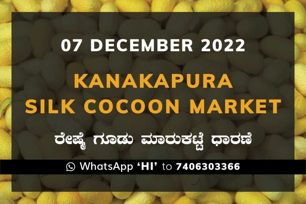 Kanakapura Silk Cocoon Market Price Rate ಕನಕಪುರ ರೇಷ್ಮೆ ಗೂಡು ಮಾರುಕಟ್ಟೆ ಧಾರಣೆ