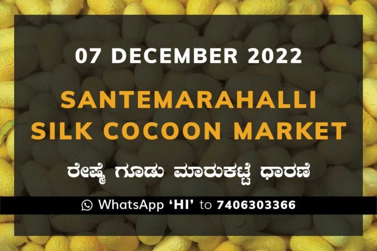 Silk Santemarahalli Government Cocoon Market