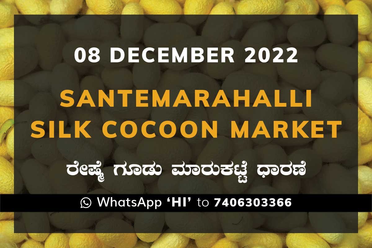 Silk Santemarahalli Government Cocoon Market