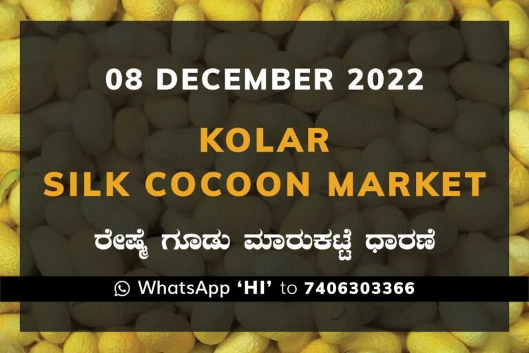 Kolar Silk Cocoon Market Price Rate ಕೋಲಾರ ರೇಷ್ಮೆ ಗೂಡು ಮಾರುಕಟ್ಟೆ ಧಾರಣೆ